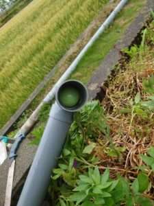 雨水が溢れる原因とは